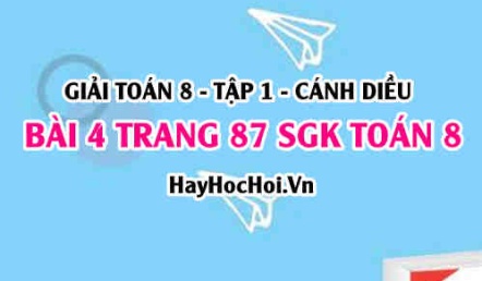 Giải bài 3 trang 87 Toán 8 Tập 1 SGK Cánh Diều